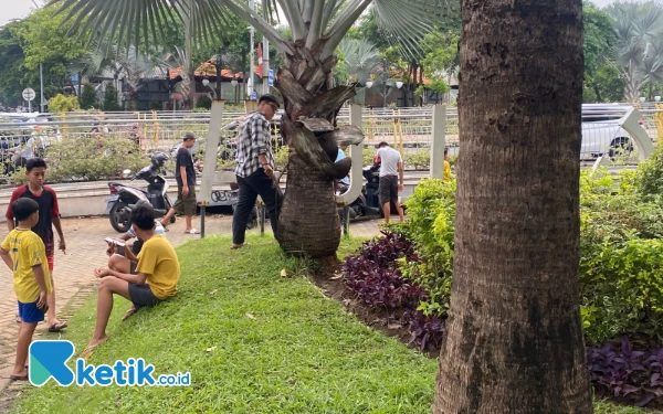 Foto Para pencari Koin Jagat yang menginjak tanaman di Taman Ujung Galuh. (Foto: Shinta Miranda/Ketik.co.id)