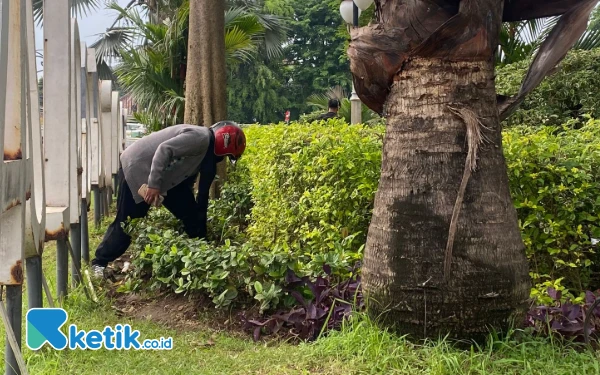 Foto Seorang perempuan menginjak rumput karena mencari Koin Jagat. (Foto: Shinta Miranda/Ketik.co.id)