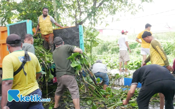 Foto Personel Satpol PP Sidoarjo, Kodim Sidoarjo, dan Polresta Sidoarjo mengangkut enceng gondok dari sungai ke atas truk. (Foto: Kominfo Sidoarjo)