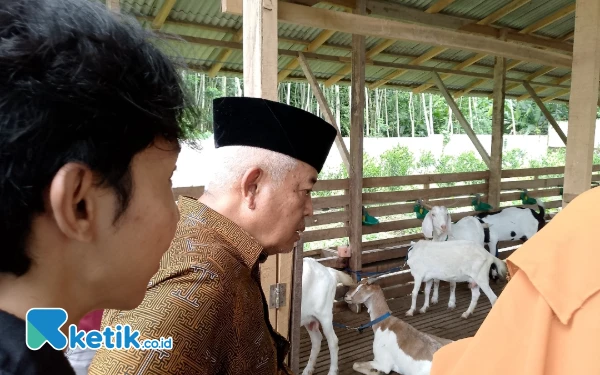 Foto Bupati Malang Sanusi ketika meninjau kandang kambing milik peternak Milenial di Bululawang. (Foto: Binar Gumilang/Ketik.co.id)