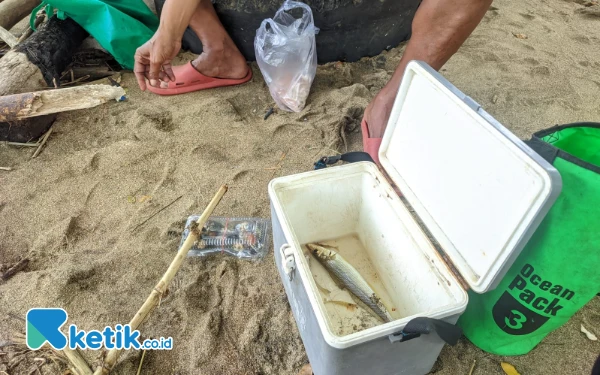 Foto Hasil tangkapan ikan dari spot pojok timur Pancer Door Pacitan. (Foto: Al Ahmadi/Ketik.co.id)