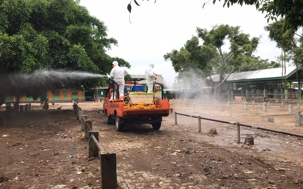 Kalaksa BPBD Jatim Minta Satgas PMK Tekan Penyebaran PMK