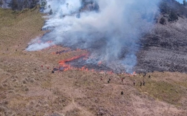 Thumbnail Berita - Polda Jatim Ambil Alih Kasus Karhutla Gunung Bromo