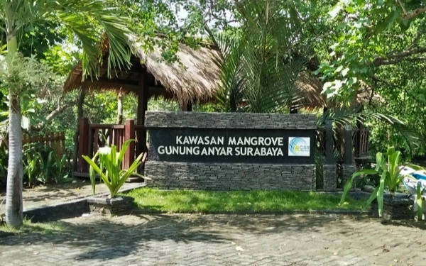 Hutan Gunung Anyar Akan Jadi Kebun Raya Mangrove Surabaya