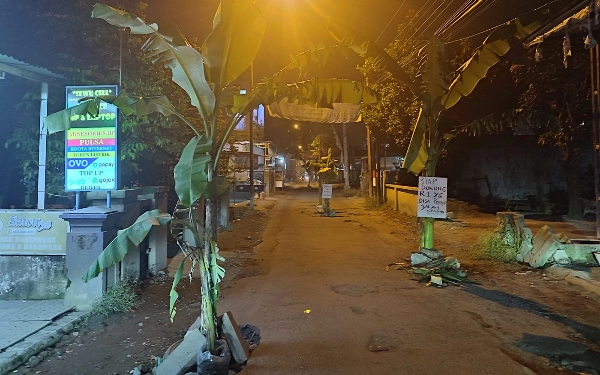 Protes Jalan Rusak, Warga Jumputrejo Tanam Pohon Pisang di Jalan