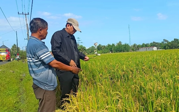 Thumbnail Berita - Antisipasi Kekeringan, Disperta KP Jatim Imbau Petani Maksimalkan Sumur Pompa dan Embung