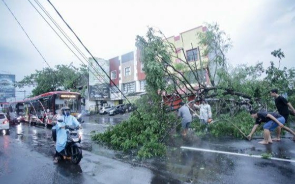 Thumbnail Awas ! Puluhan Pohon Roboh Akibat Cuaca Ekstrem di Surabaya 