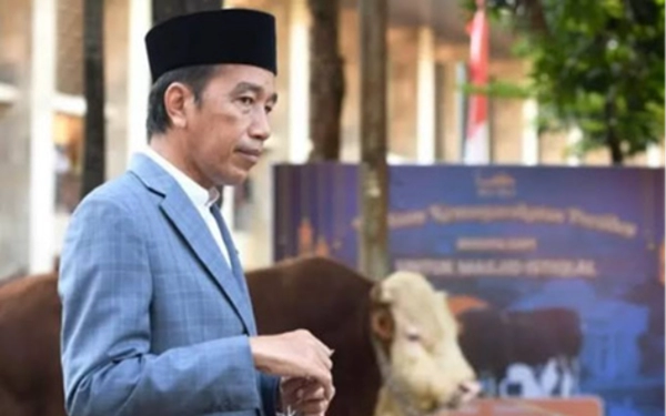 Idul Adha 2024, Jokowi Bagi-Bagi Satu Sapi untuk Tiap Provinsi