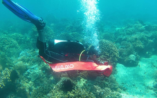 Thumbnail Berita - Tingkatkan Kemampuan, Tim Rescuer Pos SAR Banyuwangi Latihan Selam