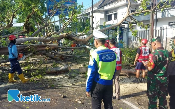 Dua Pengendara Motor Tewas Tertimpa Pohon Tumbang di Kabupaten Malang