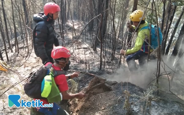 Thumbnail Berita - Karhutla Gunung Kawi Malang, 1063 Hektar Lahan Terbakar