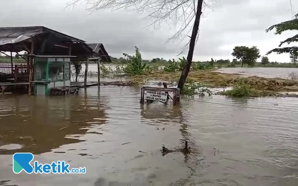 Thumbnail Terendam Banjir, Puluhan Hektar Sawah di Situbondo Terancam Gagal Panen