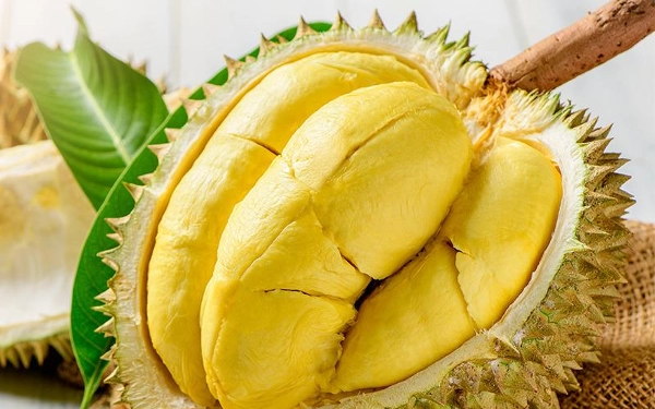 Lagi Musim Durian, Berikut Manfaat dan Bahayanya untuk Kesehatan