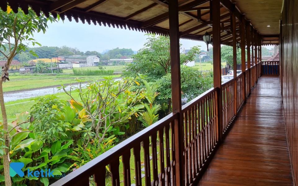 Foto Hamparan sawah terlihat dari lantai 2 d'Omah Afi