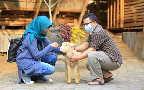 Foto Salah satu wisata edukasi di Desa Sidomulyo Jember. (Foto: Humas PLN)