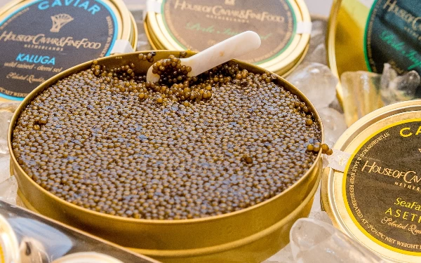 Memiliki Harga Fantastis, Ternyata Ini Manfaat Kaviar untuk Kesehatan