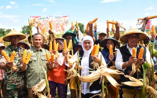 Khofifah Apresiasi Inovasi Varietas Jagung Reog 234 Produksi Kabupaten Ponorogo