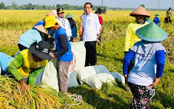 Foto Presiden Jokowi berbaur dengan petani yang sedang memanen padi di Desa Kartoharjo  Kabupaten Ngawi. (Foto: Laily Rachev - Biro Pers Sekretariat Presiden)