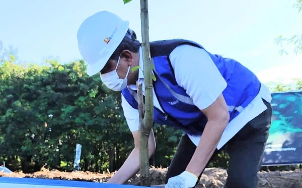 Foto Komisaris Utama MIND ID Doni Monardo dalam program tanam pohon. (Foto: Dok. MIND ID)