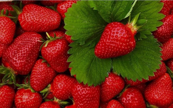 Foto Strawberry mengandung Vitamin C. (Foto: Pinterest)