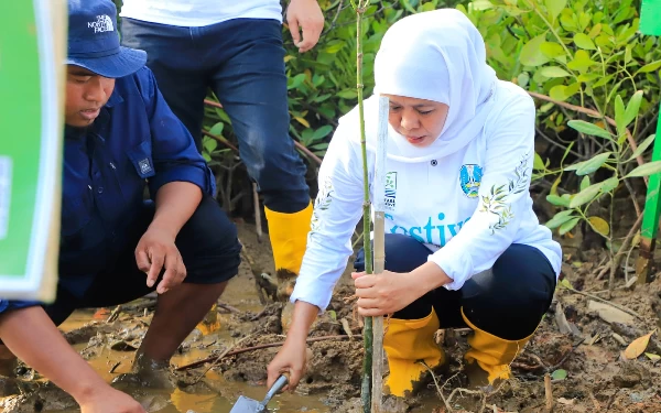 Thumbnail Berita - Festival Mangrove untuk Tingkatkan Perekonomian Jawa Timur