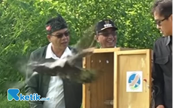 Foto Bupati Bandung Dadang Supriatna saat melepasliarkan sepasang burung rajawali di Taman Wisata Alam Kamojang, Kec Ibun, Kab Bandung, Minggu (4/6/23). (Foto: Tangkapan Layar)