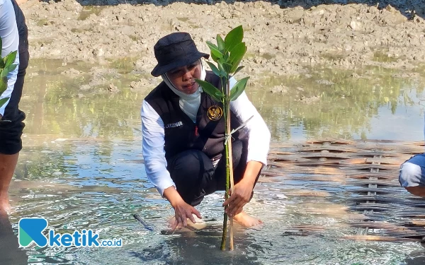 Thumbnail Berita - Wujud Kepedulian Lingkungan, Pemprov Jatim Tanam 20 Ribu Pohon Mangrove