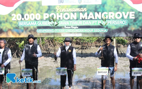 Foto Gubernur Khofifah bersama PLN menanam pohon mangrove jenis Rizhophora di Gunung Anyar, Surabaya. Jumat (9/6/2023). (Foto: Husni Habib/Ketik.co.id)