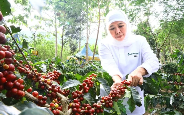 Tingkatkan Produktivitas Pertanian, Khofifah Luncurkan Platform Socio Forest