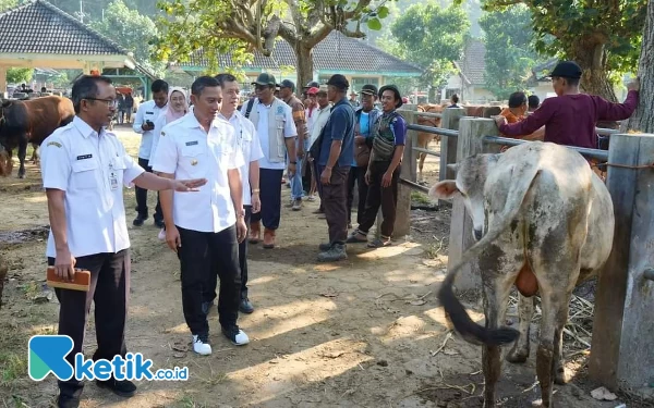 Thumbnail Berita - Bupati Pacitan Grebeg Pasar Hewan, Demi Pastikan Ketersediaan Hewan Kurban