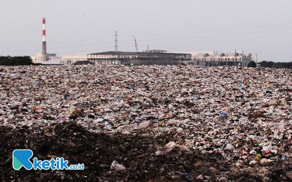 Foto Hamparan sampah di lahan TPA Kupang seluas 15 hektare. Sampah-sampah di TPA tersebut tidak lagi mengeluarkan bau busuk. (foto: Fathur Roziq/Ketik.co.id)