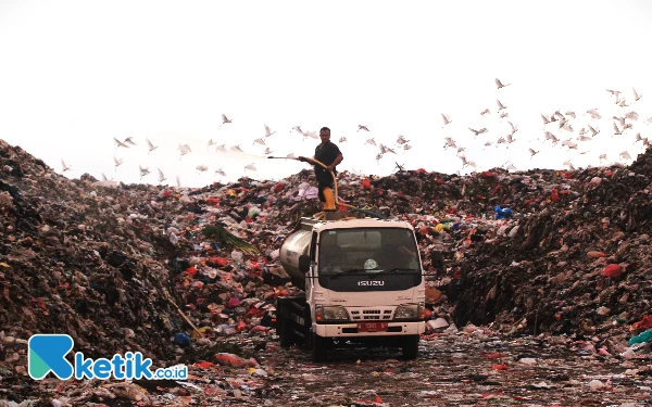 Cerita tentang Eco Lindi, Formula Pembunuh Bau Kelas Dunia (2)