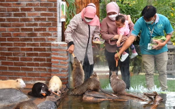 Foto Gubernur Khofifah bermain bersama para satwa. (Foto: Humas Pemprov Jatim)