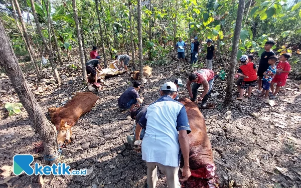 Foto Proses penyembelihan hewan kurban di Masjid Al-Ishlah, Rabu (28/6/2023). (Foto: Husni Habib/Ketik.co.id)