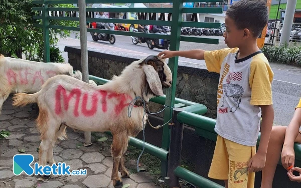 Thumbnail Sisihkan Uang Saku, Anak SD Kota Malang Berhasil Berkurban Kambing