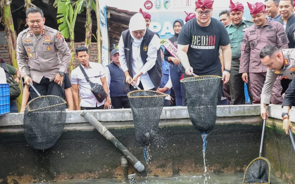 Thumbnail Berita - Gubernur Khofifah Dorong Peningkatan Budidaya Lele untuk Konsumsi Masyarakat