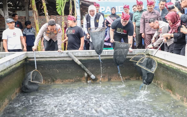 Gubernur Khofifah: Pentingnya Budidaya Lele untuk Turunkan Angka Stunting