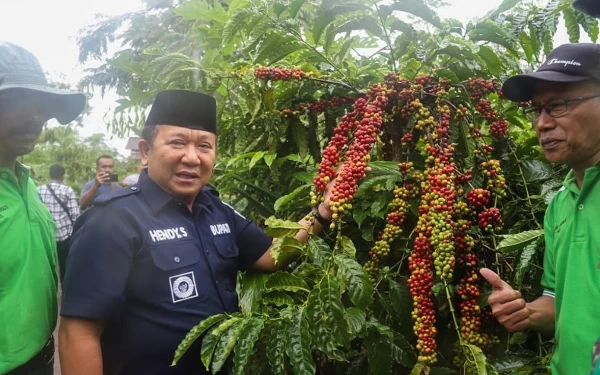 Thumbnail Peringati Hari Krida Pertanian, Momentum Angkat Kopi Robusta Jember