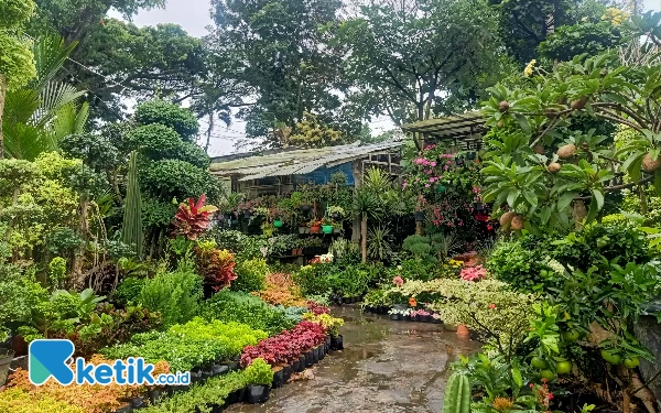 Foto Suasana di Pasar Bunga Splendid yang segar dan asri (foto: Lutfia/ketik.co.id)