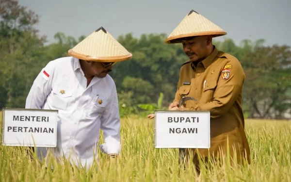 Thumbnail Berita - Hadapi Elnino, Ngawi Disiapkan Jadi Lumbung Pangan Nasional, Begini Strategi Mentan Syahrul Yasin Limpo