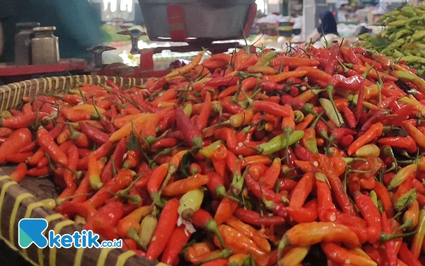 Harga Cabai di Pacitan Hampir Tembus Rp 40 Ribu per Kilogram