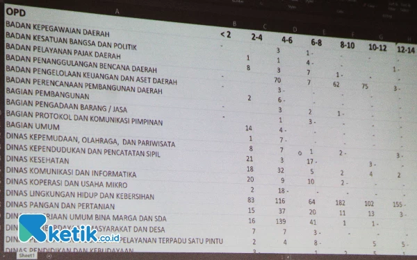 Foto Masa pengabdian pegawai honorer di Kabupaten Sidoarjo menurut data BKD Sidoarjo. (Foto: Fathur Roziq/Ketik.co.id)