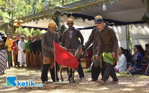 Foto Akan dilakukan penyembelihan wedus kendit di tengah lapangan Dusun Wati. (Foto: Prokopim Pacitan)