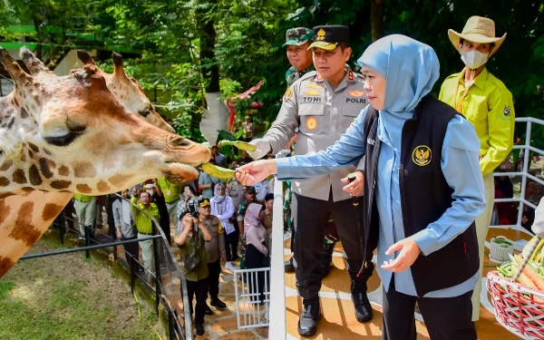 Foto Gubernur Khofifah saat mengunjungi salah satu kebun binatang di jatim. (Foto: Humas Pemprov Jatim)