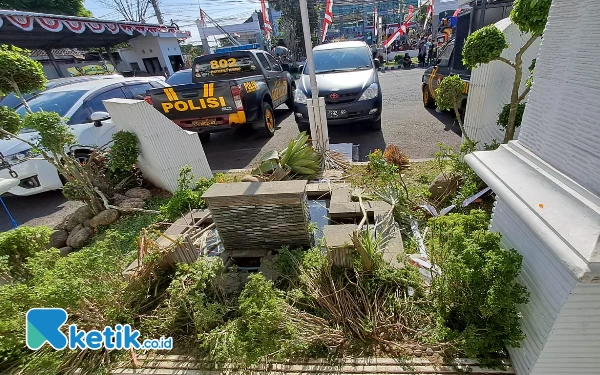 Foto Kondisi tanaman rusak terinjak-injak pendemo, Selasa (8/8/2023) (Foto: Fenna/Ketik.co.id)