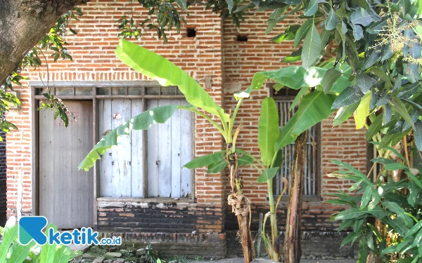 Foto Rumah keluarga miskin yang dihuni lima wanita di Dusun Mlaten, Desa Wonomlati, Kecamatan Krembung, Kabupaten Sidoarjo, pada Senin (7/8/2023). Dua di antaranya menderita gangguan jiwa. (Foto: Fathur Roziq/Ketik.co.id)