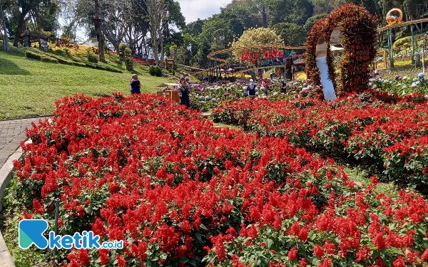 Foto Taman Bunga di Taman Rekreasi Selecta. (Foto: Sholeh/ketik.co.id)