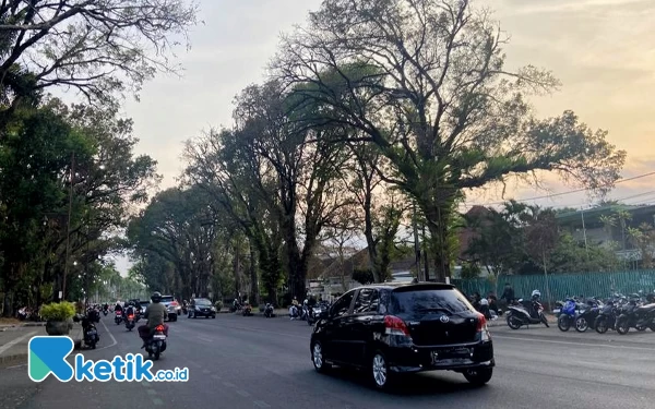 Diprediksi Makin Ramai, Jalan Ijen Kota Malang Belum Punya Kantong Parkir