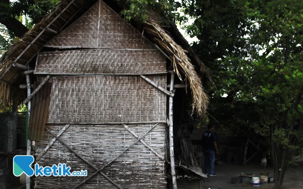 Foto Gubuk tempat tinggal Nurcholis di Desa Lemujut, Kecamatan Krembung, Kabupaten Sidoarjo. Dia menolak rumah itu diperbaiki.  (Foto: Fathur Roziq/Ketik.co.id)