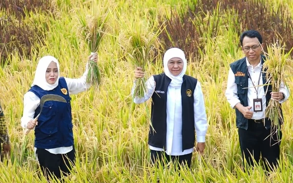 Terobosan Dinas Pertanian Jatim untuk Amankan Produksi dan Ketersediaan Pangan di Tengah Fenomena El Nino